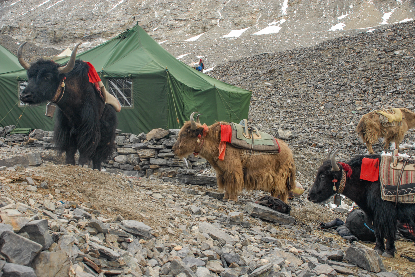To Advanced Base Camp
